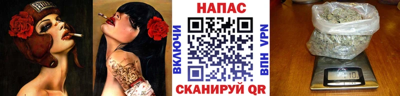 Бошки Шишки план  Купить закладки  Конаково 